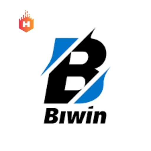 biwin